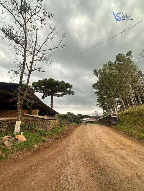 Foto 4 de Casa com 2 quartos à venda, 5000m2 em Santa Maria Do Herval - RS