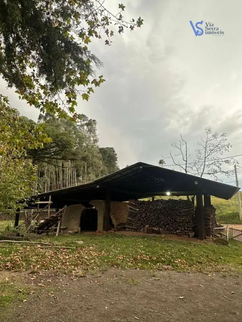 Foto 3 de Casa com 2 quartos à venda, 5000m2 em Santa Maria Do Herval - RS