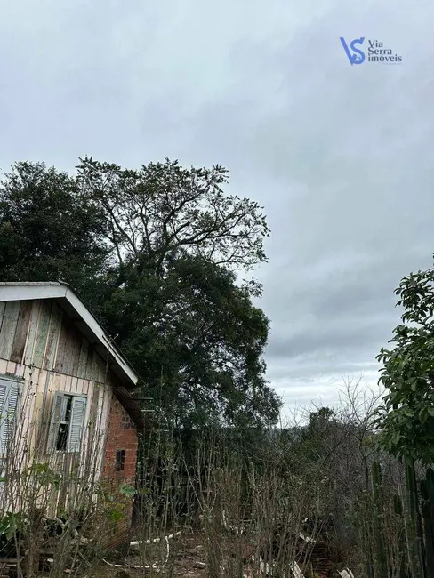 Foto 4 de Sítio / Rancho à venda, 30000m2 em Centro, Igrejinha - RS