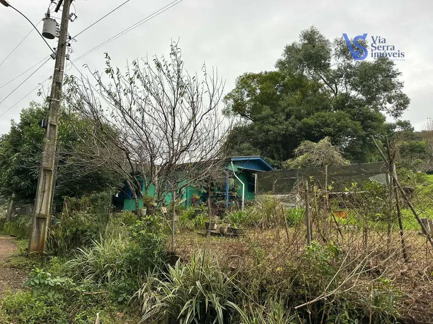 Casa com 1 quarto à venda, 350m2 em Centro, Igrejinha - RS - imagem 4 Foto 4 de Casa com 1 quarto à venda, 350m2 em Centro, Igrejinha - RS