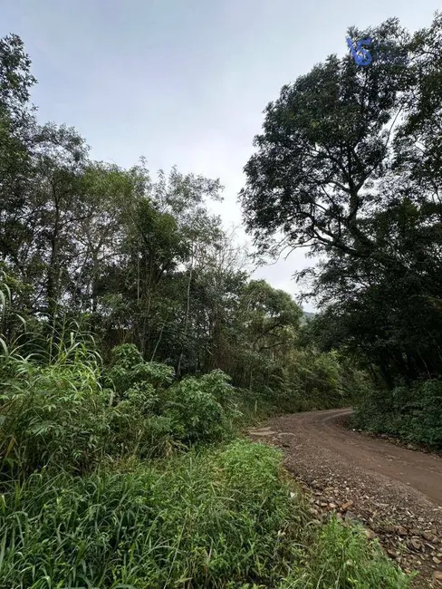 Foto 6 de Sítio / Rancho à venda, 56000m2 em Tres Coroas - RS