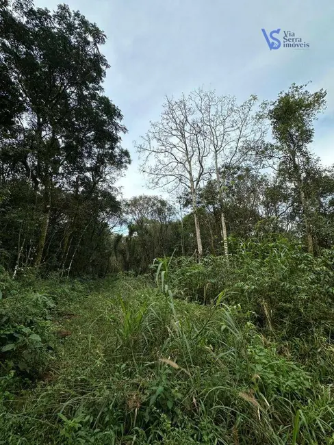 Foto 1 de Sítio / Rancho à venda, 56000m2 em Tres Coroas - RS