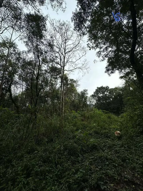 Foto 2 de Sítio / Rancho à venda, 56000m2 em Tres Coroas - RS