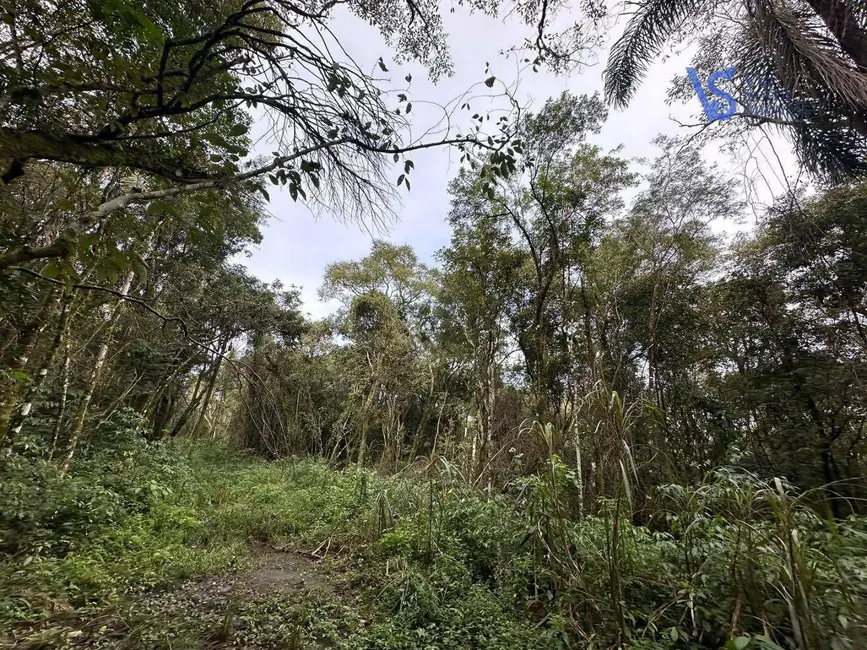 Foto 4 de Sítio / Rancho à venda, 56000m2 em Tres Coroas - RS