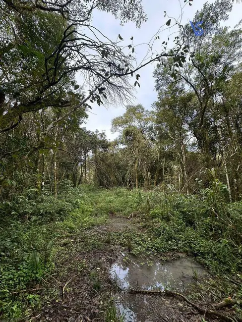 Foto 5 de Sítio / Rancho à venda, 56000m2 em Tres Coroas - RS