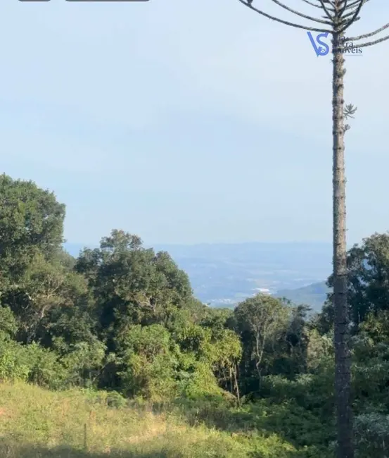 Foto 3 de Sítio / Rancho à venda, 37000m2 em Igrejinha - RS