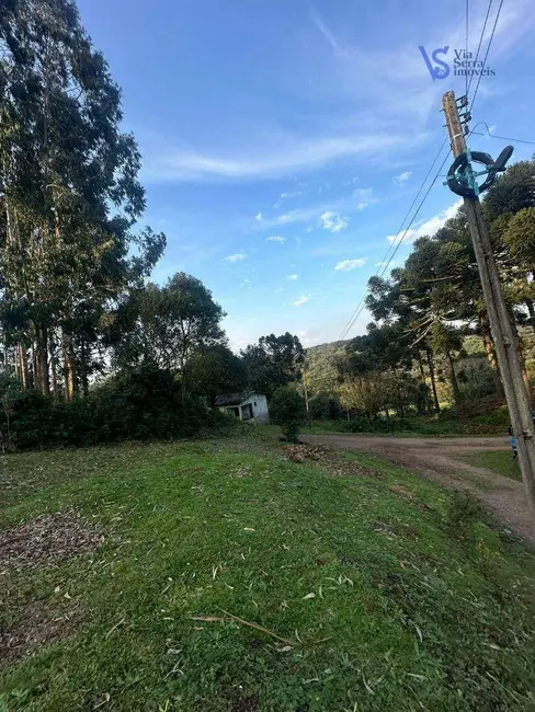 Foto 5 de Sítio / Rancho à venda, 60000m2 em Igrejinha - RS