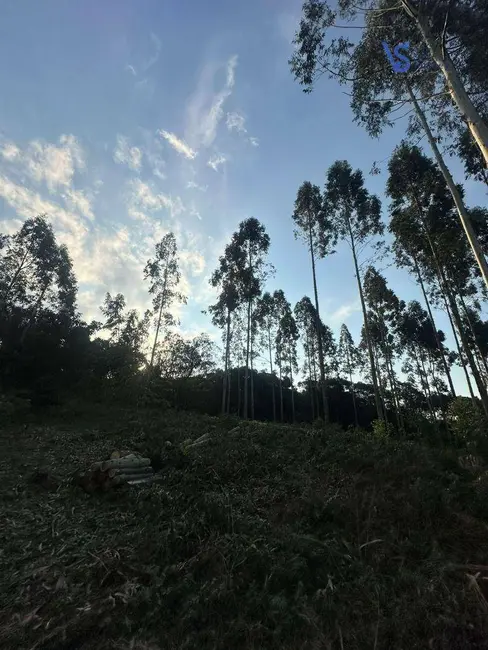 Foto 8 de Sítio / Rancho à venda, 60000m2 em Igrejinha - RS