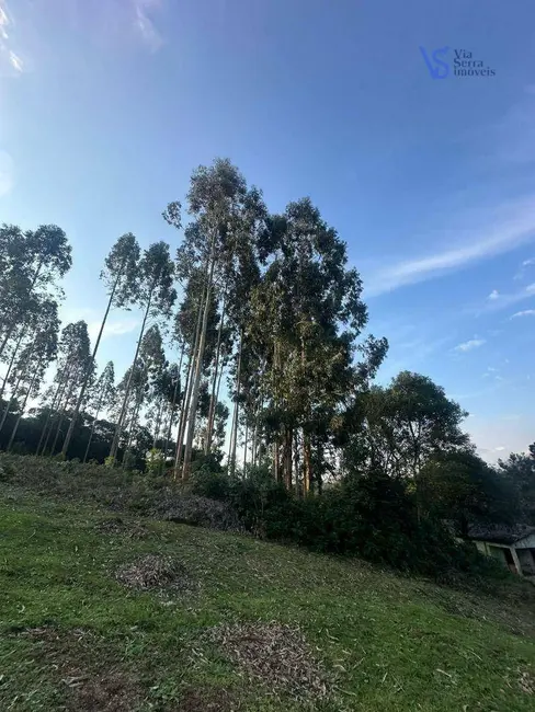 Foto 7 de Sítio / Rancho à venda, 60000m2 em Igrejinha - RS