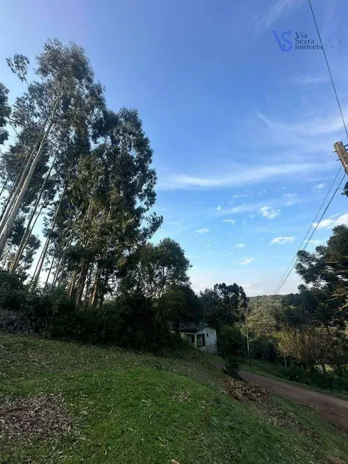 Foto 6 de Sítio / Rancho à venda, 60000m2 em Igrejinha - RS