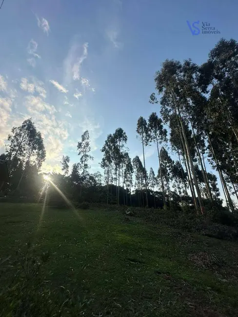 Foto 9 de Sítio / Rancho à venda, 60000m2 em Igrejinha - RS