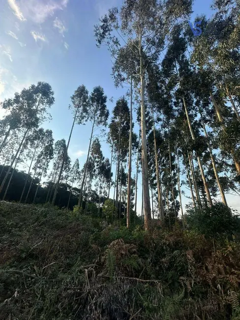Foto 2 de Sítio / Rancho à venda, 60000m2 em Igrejinha - RS