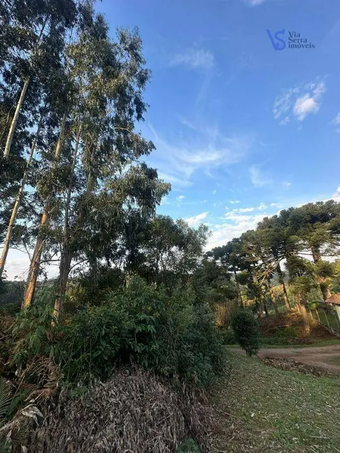 Foto 3 de Sítio / Rancho à venda, 60000m2 em Igrejinha - RS