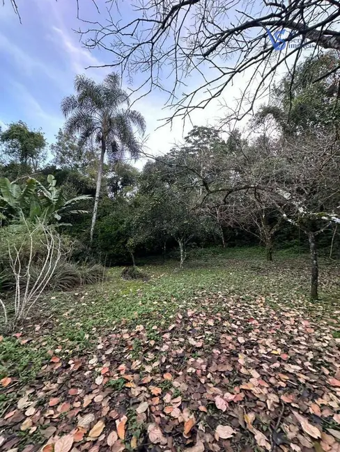 Foto 5 de Sítio / Rancho à venda, 40000m2 em Igrejinha - RS