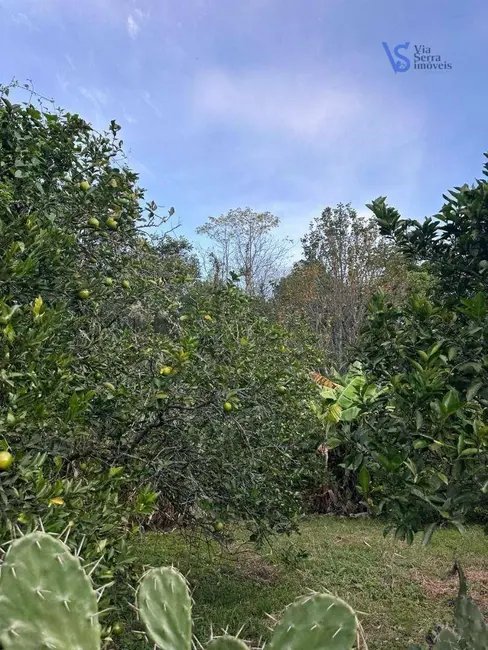 Foto 3 de Sítio / Rancho à venda, 40000m2 em Igrejinha - RS