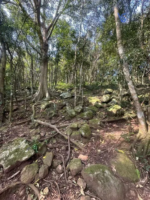 Foto 7 de Sítio / Rancho à venda, 45000m2 em Igrejinha - RS