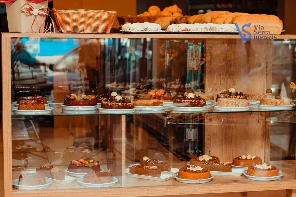 Loja à venda, 200m2 em Centro, Sao Francisco De Paula - RS - imagem 4 Foto 4 de Loja à venda, 200m2 em Centro, Sao Francisco De Paula - RS