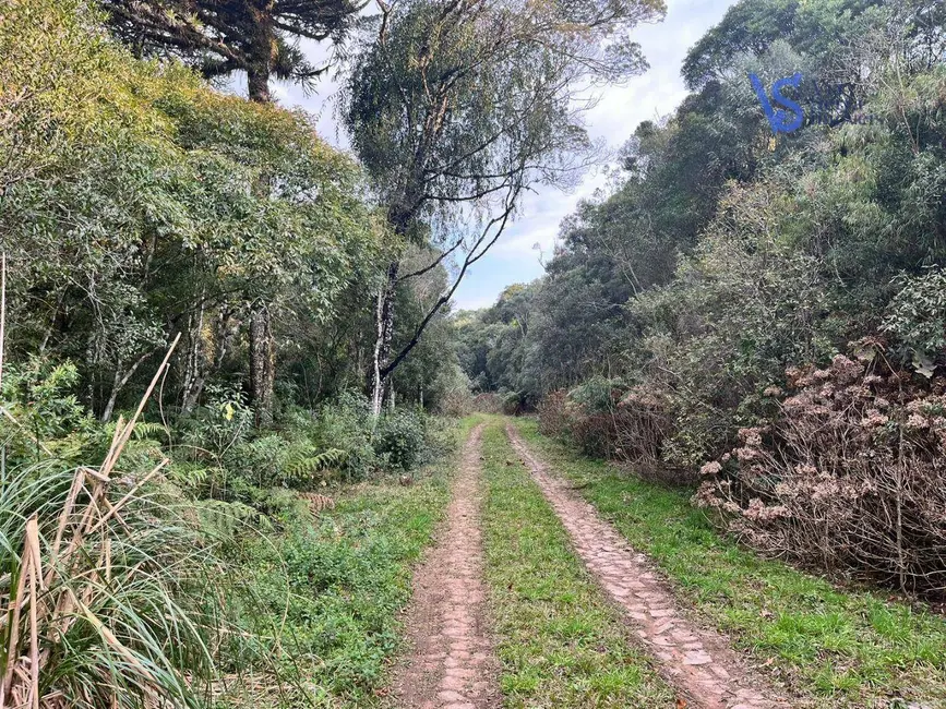 Terreno / Lote à venda, 9700m2 em Sao Francisco De Paula - RS - imagem 7 Foto 7 de Terreno / Lote à venda, 9700m2 em Sao Francisco De Paula - RS