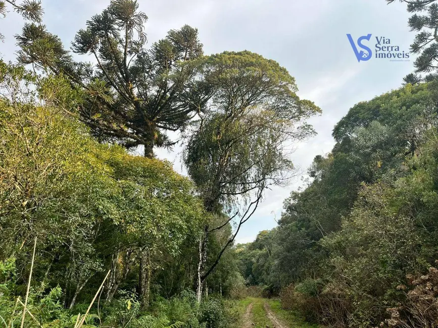 Terreno / Lote à venda, 9700m2 em Sao Francisco De Paula - RS - imagem 4 Foto 4 de Terreno / Lote à venda, 9700m2 em Sao Francisco De Paula - RS