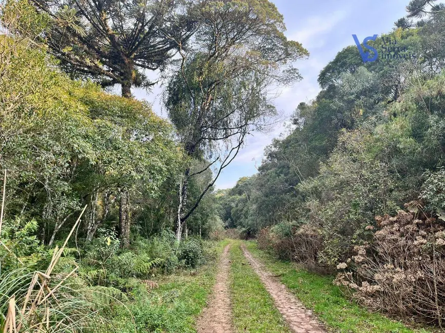 Terreno / Lote à venda, 9700m2 em Sao Francisco De Paula - RS - imagem 3 Foto 3 de Terreno / Lote à venda, 9700m2 em Sao Francisco De Paula - RS