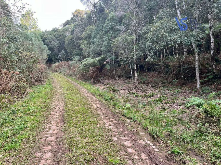 Terreno / Lote à venda, 9700m2 em Sao Francisco De Paula - RS - imagem 8 Foto 8 de Terreno / Lote à venda, 9700m2 em Sao Francisco De Paula - RS