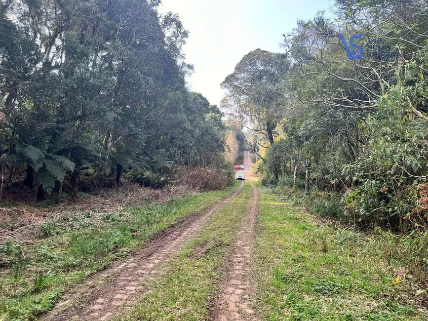 Terreno / Lote à venda, 9700m2 em Sao Francisco De Paula - RS - imagem 9 Foto 9 de Terreno / Lote à venda, 9700m2 em Sao Francisco De Paula - RS