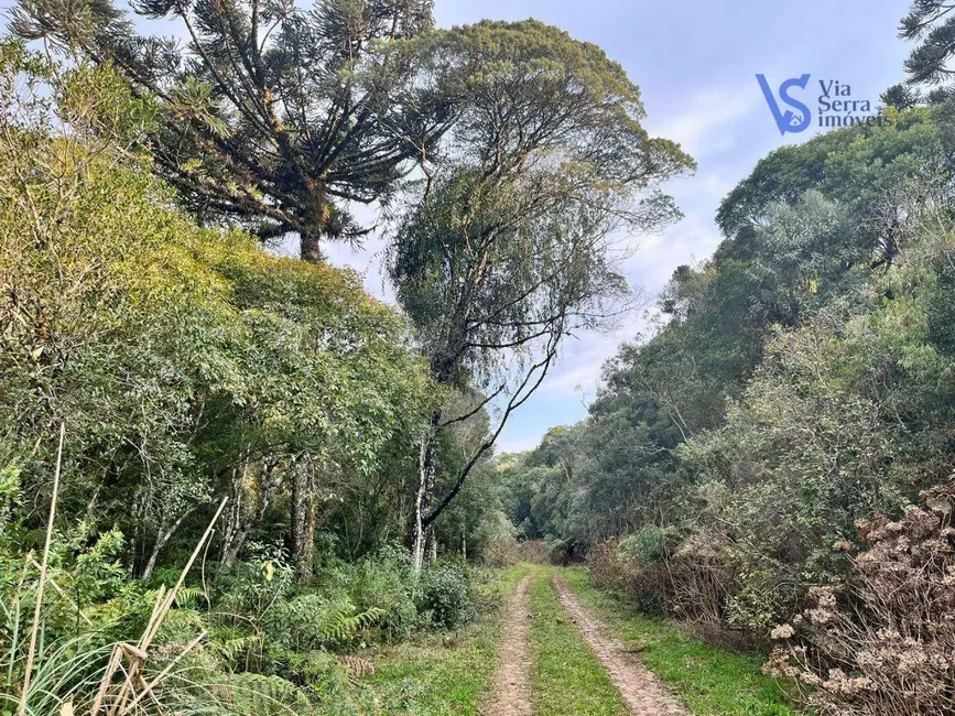 Terreno / Lote à venda, 9700m2 em Sao Francisco De Paula - RS - imagem 5 Foto 5 de Terreno / Lote à venda, 9700m2 em Sao Francisco De Paula - RS