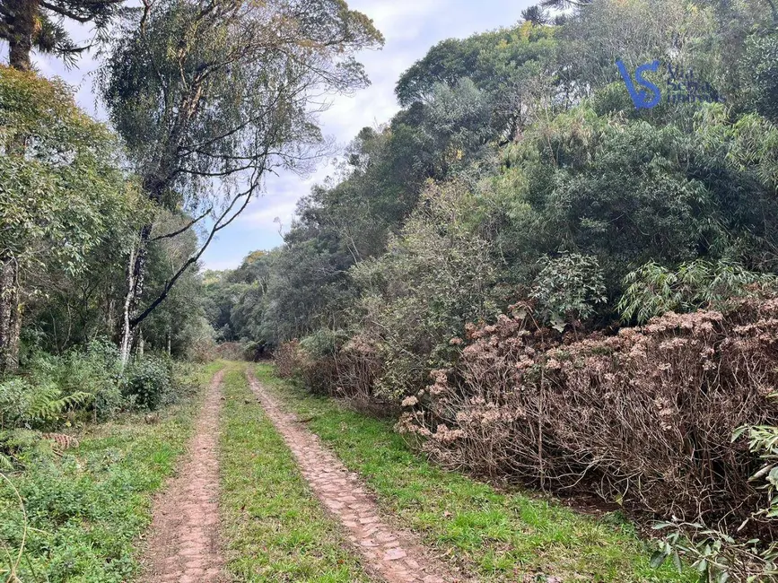 Terreno / Lote à venda, 9700m2 em Sao Francisco De Paula - RS - imagem 6 Foto 6 de Terreno / Lote à venda, 9700m2 em Sao Francisco De Paula - RS
