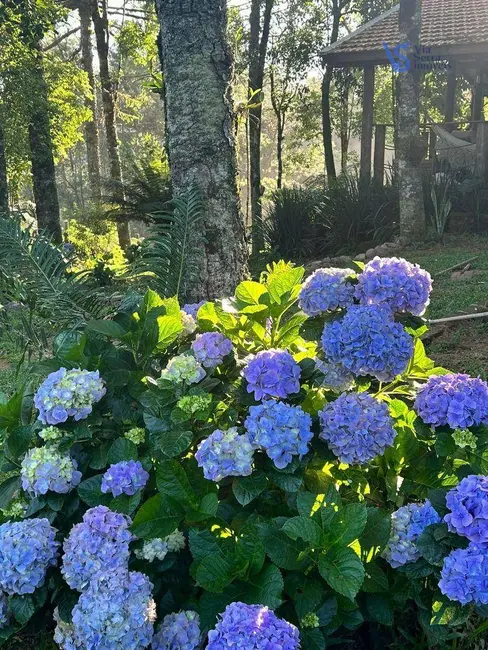 Foto 2 de Sítio / Rancho com 1 quarto à venda, 1120m2 em Igrejinha - RS