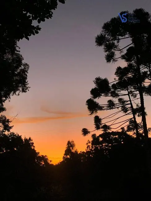 Foto 8 de Sítio / Rancho com 1 quarto à venda, 1120m2 em Igrejinha - RS