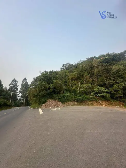 Foto 3 de Sala Comercial à venda, 40000m2 em Igrejinha - RS