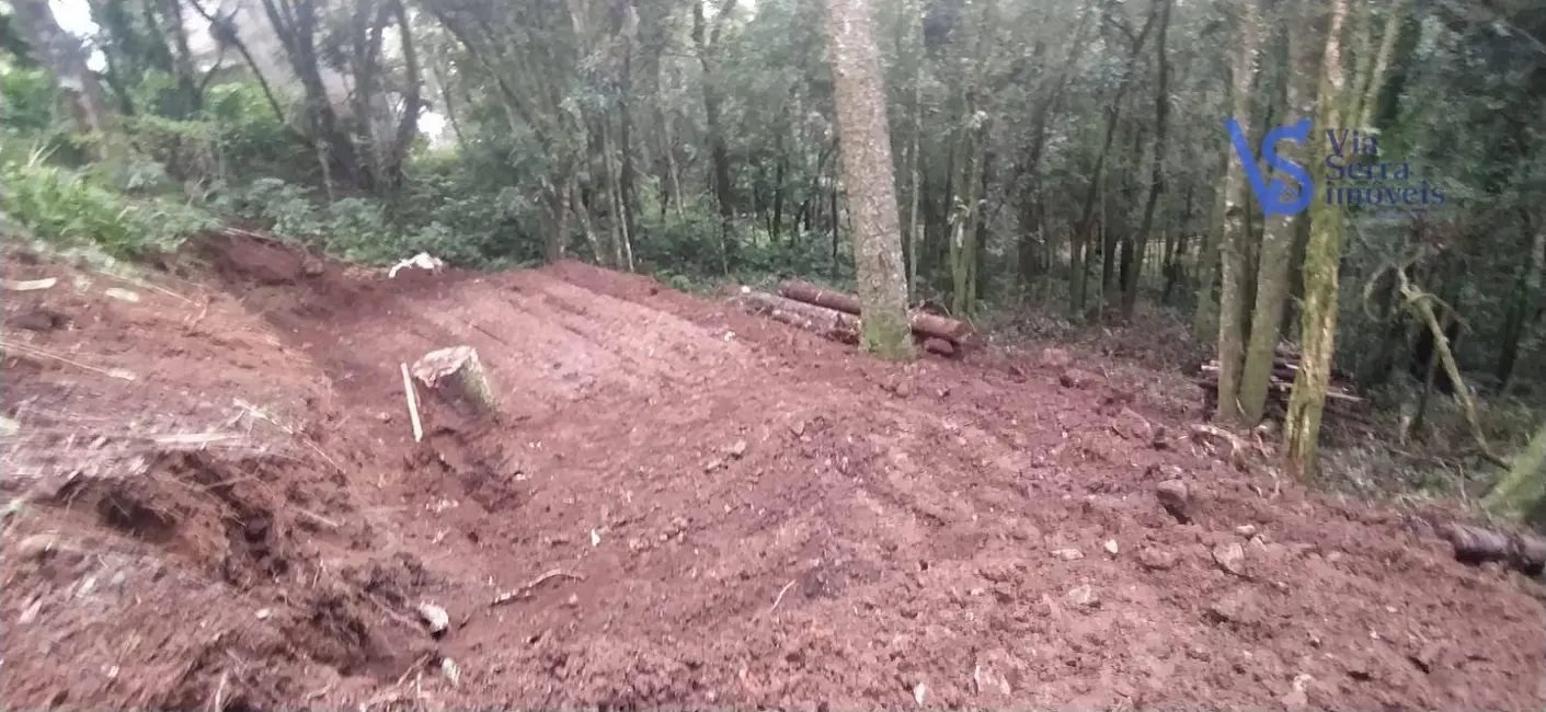 Casa com 3 quartos à venda, 922m2 em Canela - RS - imagem 5 Foto 5 de Casa com 3 quartos à venda, 922m2 em Canela - RS