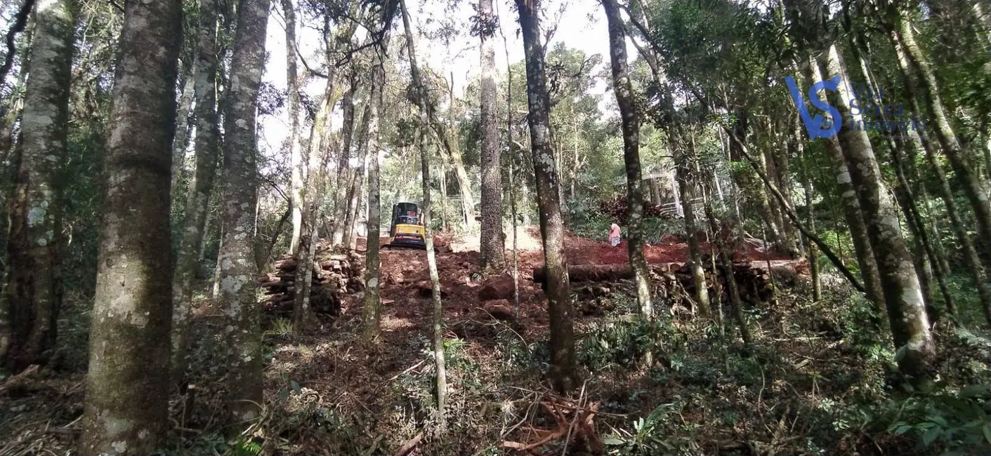 Casa com 3 quartos à venda, 922m2 em Canela - RS - imagem 6 Foto 6 de Casa com 3 quartos à venda, 922m2 em Canela - RS