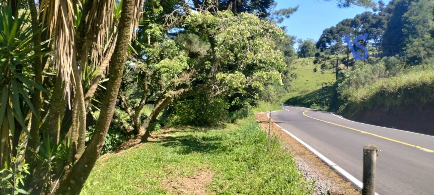 Foto 2 de Sítio / Rancho à venda, 120000m2 em Tres Coroas - RS