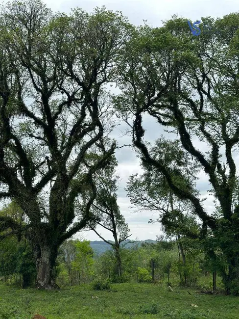 Foto 6 de Sítio / Rancho à venda, 18000m2 em Tres Coroas - RS