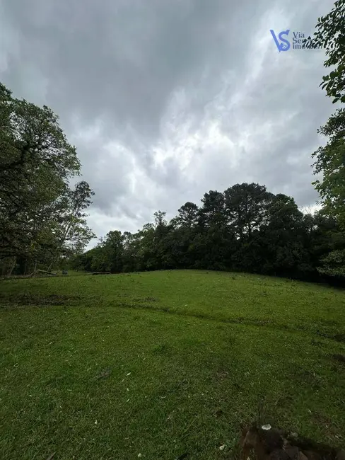 Foto 7 de Sítio / Rancho à venda, 18000m2 em Tres Coroas - RS