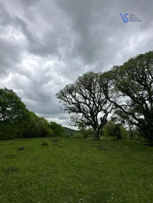 Foto 9 de Sítio / Rancho à venda, 18000m2 em Tres Coroas - RS