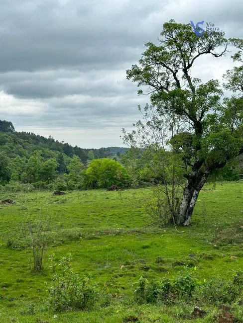 Foto 3 de Sítio / Rancho à venda, 18000m2 em Tres Coroas - RS