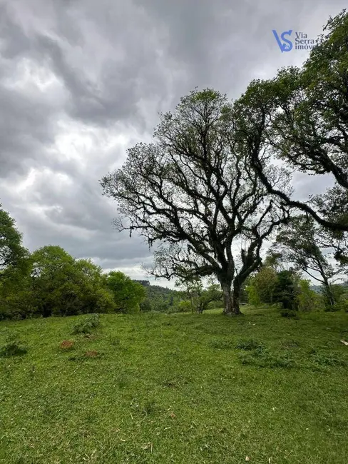 Foto 4 de Sítio / Rancho à venda, 18000m2 em Tres Coroas - RS