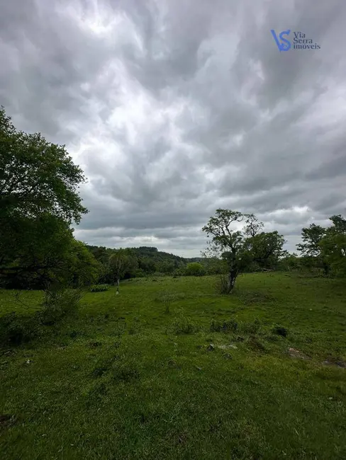 Foto 8 de Sítio / Rancho à venda, 18000m2 em Tres Coroas - RS