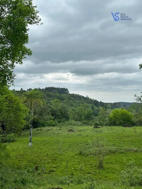 Foto 2 de Sítio / Rancho à venda, 18000m2 em Tres Coroas - RS