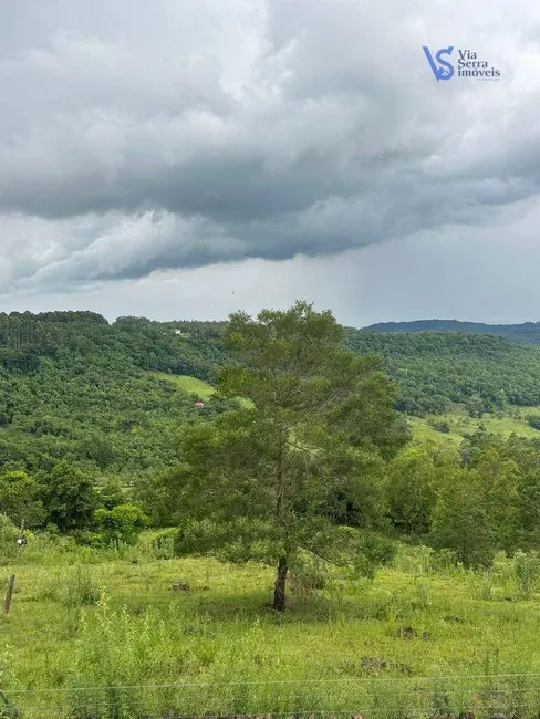 Foto 7 de Sítio / Rancho com 1 quarto à venda, 89000m2 em Igrejinha - RS