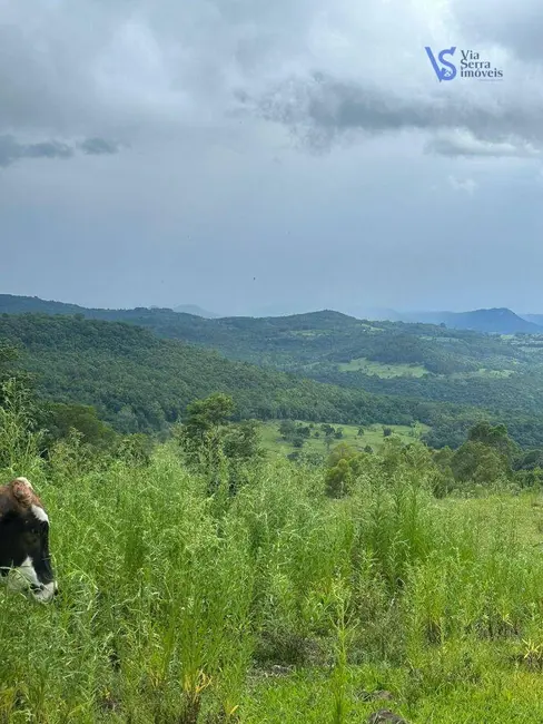 Foto 6 de Sítio / Rancho com 1 quarto à venda, 89000m2 em Igrejinha - RS