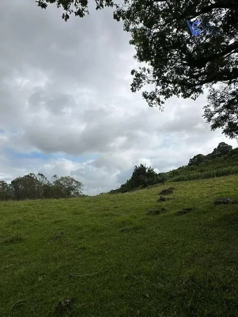 Foto 9 de Sítio / Rancho à venda, 97000m2 em Igrejinha - RS