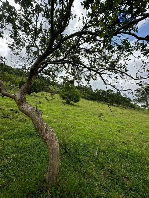 Foto 3 de Sítio / Rancho à venda, 97000m2 em Igrejinha - RS