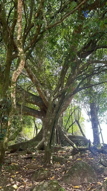 Foto 2 de Sítio / Rancho à venda, 31000m2 em Taquara - RS