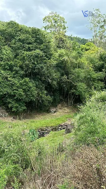 Sítio / Rancho à venda, 31000m2 em Taquara - RS - imagem 4 Foto 4 de Sítio / Rancho à venda, 31000m2 em Taquara - RS