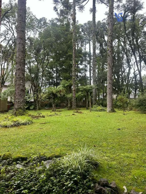 Casa com 3 quartos à venda, 1080m2 em Canela - RS - imagem 4 Foto 4 de Casa com 3 quartos à venda, 1080m2 em Canela - RS