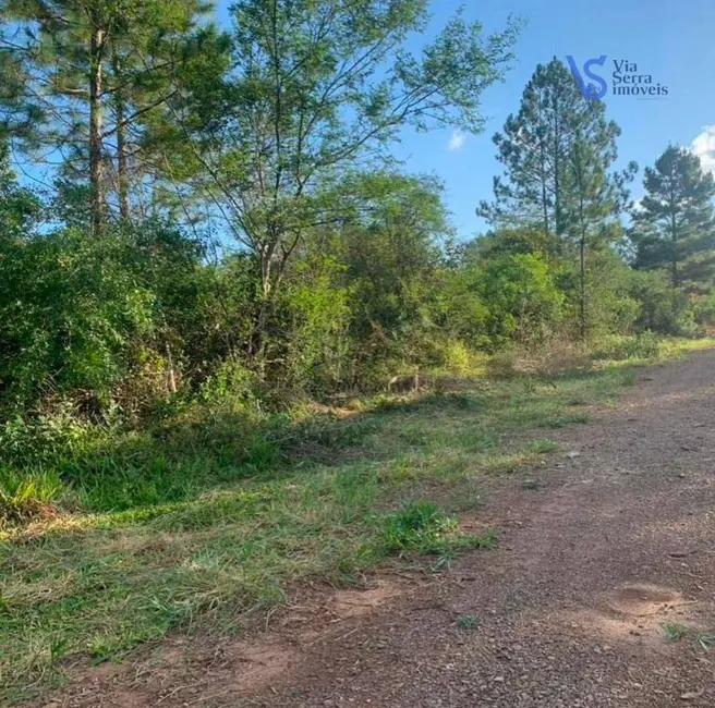 Sítio / Rancho à venda, 5000m2 em Empresa, Taquara - RS - imagem 1 Foto 1 de Sítio / Rancho à venda, 5000m2 em Empresa, Taquara - RS