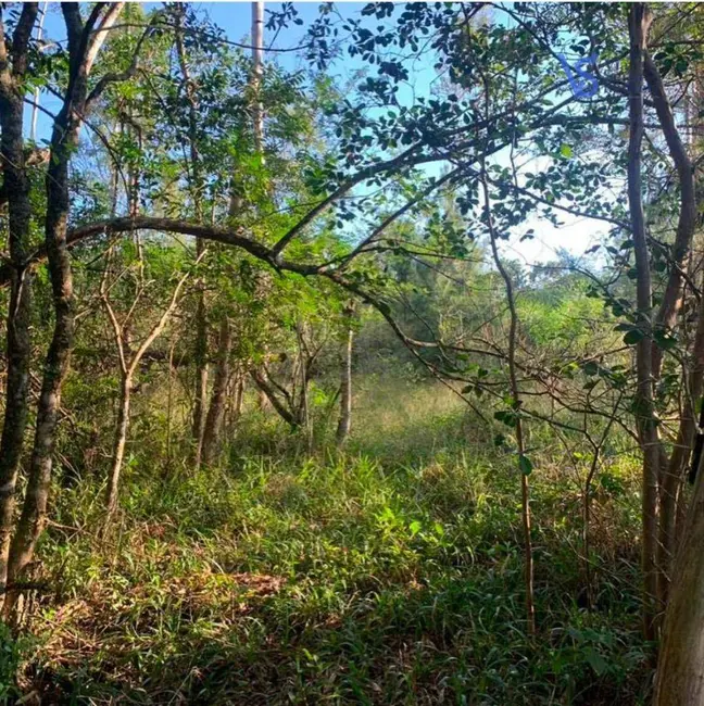 Sítio / Rancho à venda, 5000m2 em Empresa, Taquara - RS - imagem 2 Foto 2 de Sítio / Rancho à venda, 5000m2 em Empresa, Taquara - RS